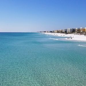 Meet your Posher, Shane